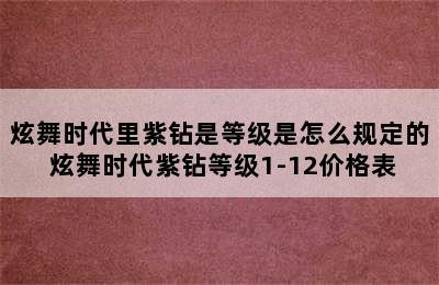 炫舞时代里紫钻是等级是怎么规定的 炫舞时代紫钻等级1-12价格表